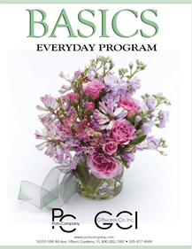Basics Everyday 6 15 26 Basics Everyday 6 15 26